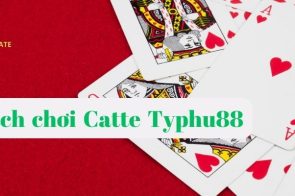 Cách chơi Catte Typhu88 dành cho người mới chi tiết